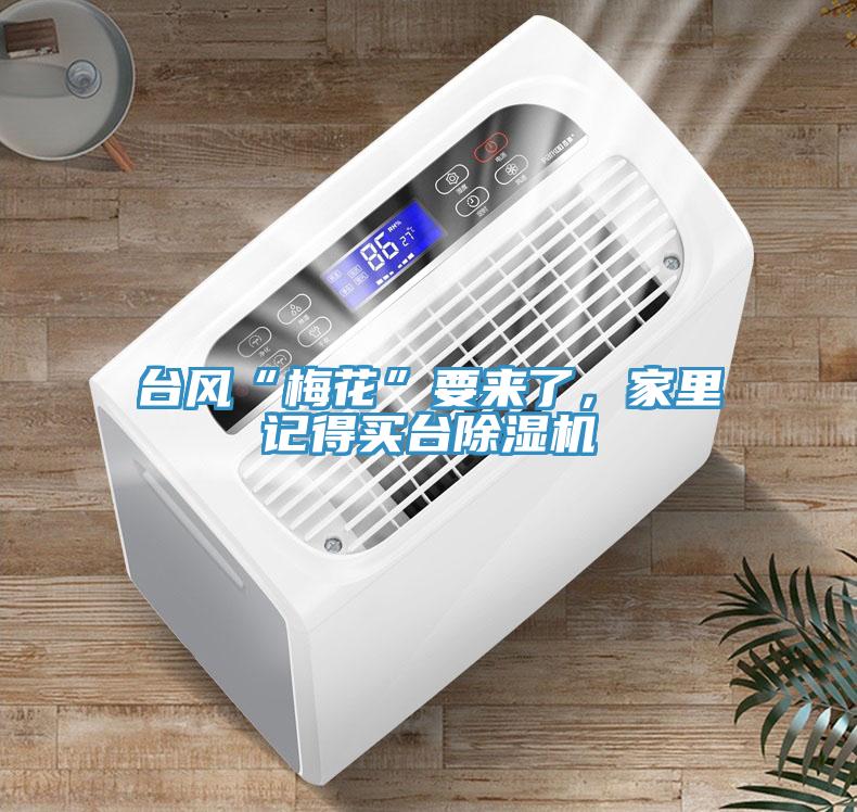 臺風“梅花”要來了，家里記得買臺除濕機