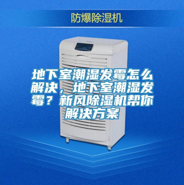 地下室潮濕發霉怎么解決，地下室潮濕發霉？新風除濕機幫你解決方案