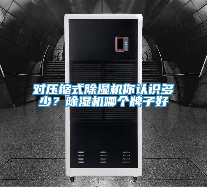 對壓縮式除濕機你認識多少？除濕機哪個牌子好