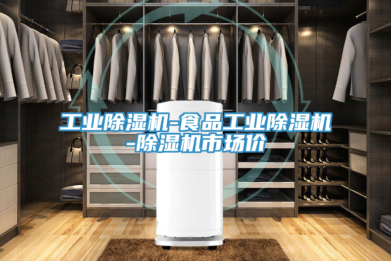 工業(yè)除濕機(jī)-食品工業(yè)除濕機(jī)-除濕機(jī)市場價(jià)