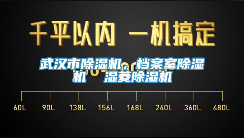 武漢市除濕機，檔案室除濕機  濕菱除濕機