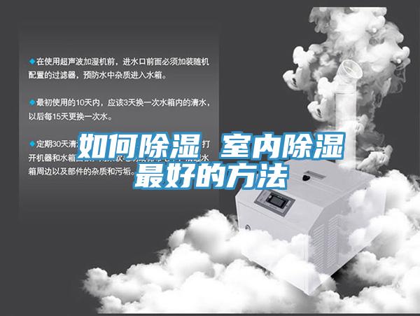 如何除濕 室內除濕最好的方法