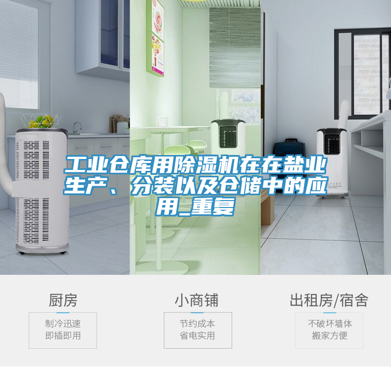 工業(yè)倉庫用除濕機在在鹽業(yè)生產(chǎn)、分裝以及倉儲中的應用_重復