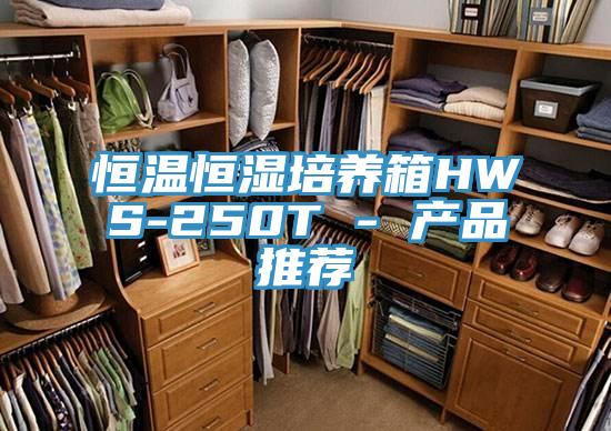 恒溫恒濕培養箱HWS-250T - 產品推薦
