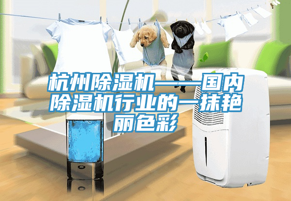 杭州除濕機——國內(nèi)除濕機行業(yè)的一抹艷麗色彩