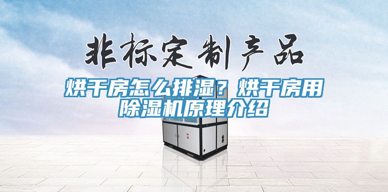 烘干房怎么排濕？烘干房用除濕機(jī)原理介紹