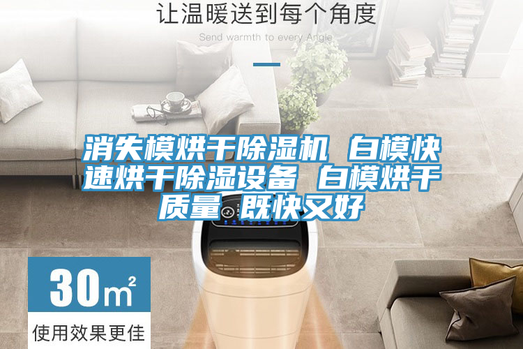 消失模烘干除濕機 白模快速烘干除濕設備 白模烘干質量 既快又好
