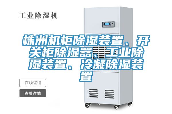 株洲機柜除濕裝置、開關柜除濕器、工業除濕裝置、冷凝除濕裝置