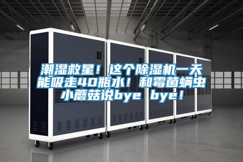 潮濕救星!這個除濕機一天能吸走40瓶水!和霉菌螨蟲小蘑菇說bye bye!