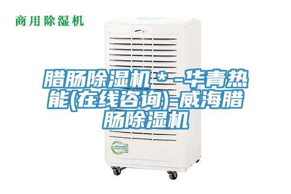 臘腸除濕機*-華青熱能(在線咨詢)-威海臘腸除濕機