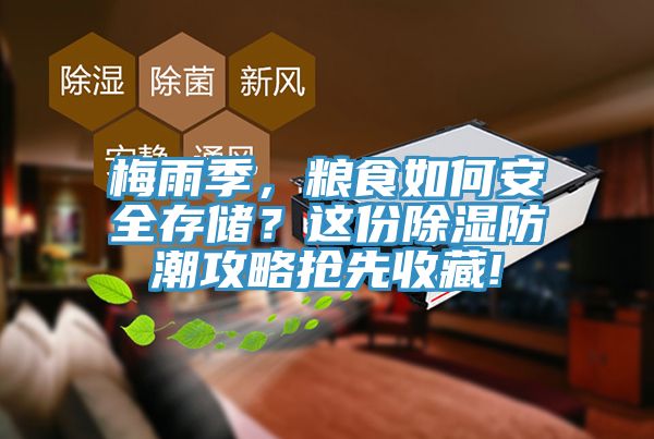 梅雨季，糧食如何安全存儲？這份除濕防潮攻略搶先收藏!
