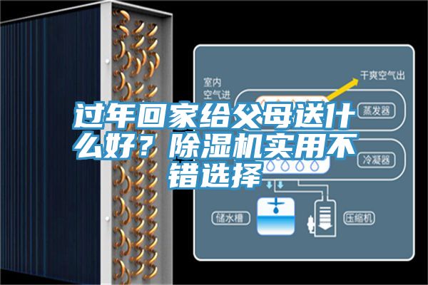 過年回家給父母送什么好?除濕機實用不錯選擇