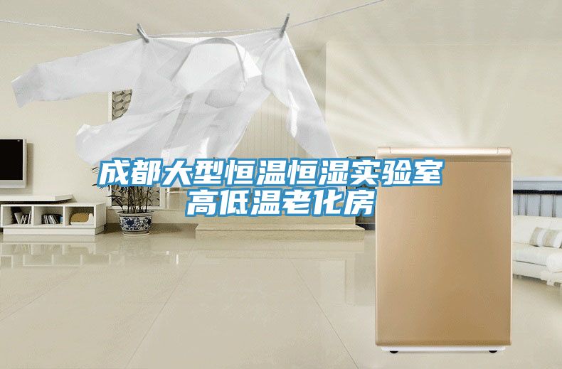 成都大型恒溫恒濕實(shí)驗(yàn)室 高低溫老化房