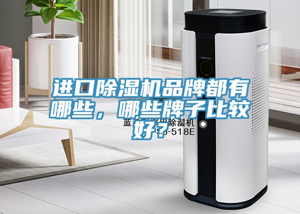 進(jìn)口除濕機(jī)品牌都有哪些，哪些牌子比較好？