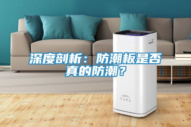 深度剖析:防潮板是否真的防潮?