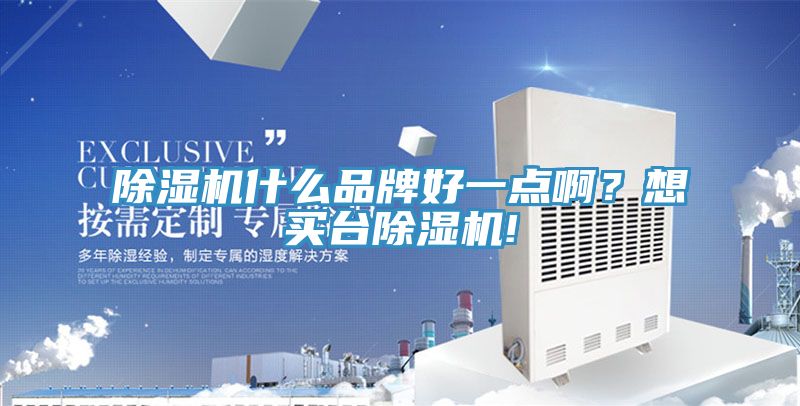 除濕機(jī)什么品牌好一點(diǎn)啊?想買臺(tái)除濕機(jī)!
