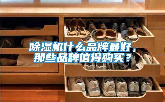 除濕機(jī)什么品牌最好,那些品牌值得購買?