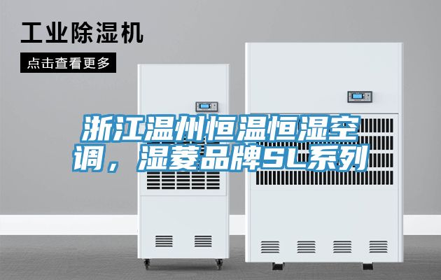 浙江溫州恒溫恒濕空調(diào),濕菱品牌SL系列