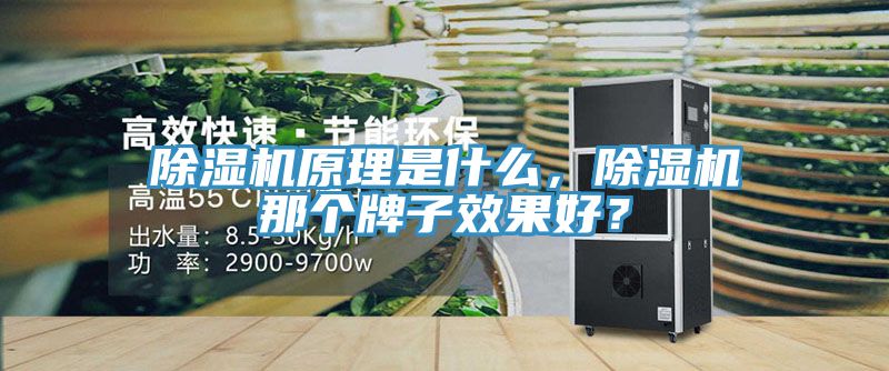 除濕機(jī)原理是什么，除濕機(jī)那個(gè)牌子效果好？