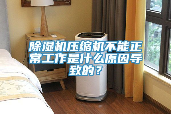 除濕機壓縮機不能正常工作是什么原因?qū)е碌模?></div>
								<div   id=
