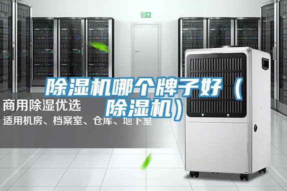 除濕機哪個牌子好(除濕機)