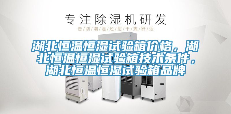 湖北恒溫恒濕試驗(yàn)箱價(jià)格,湖北恒溫恒濕試驗(yàn)箱技術(shù)條件,湖北恒溫恒濕試驗(yàn)箱品牌