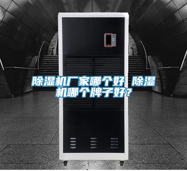 除濕機(jī)廠家哪個(gè)好 除濕機(jī)哪個(gè)牌子好?
