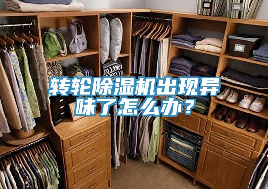 轉輪除濕機出現異味了怎么辦?