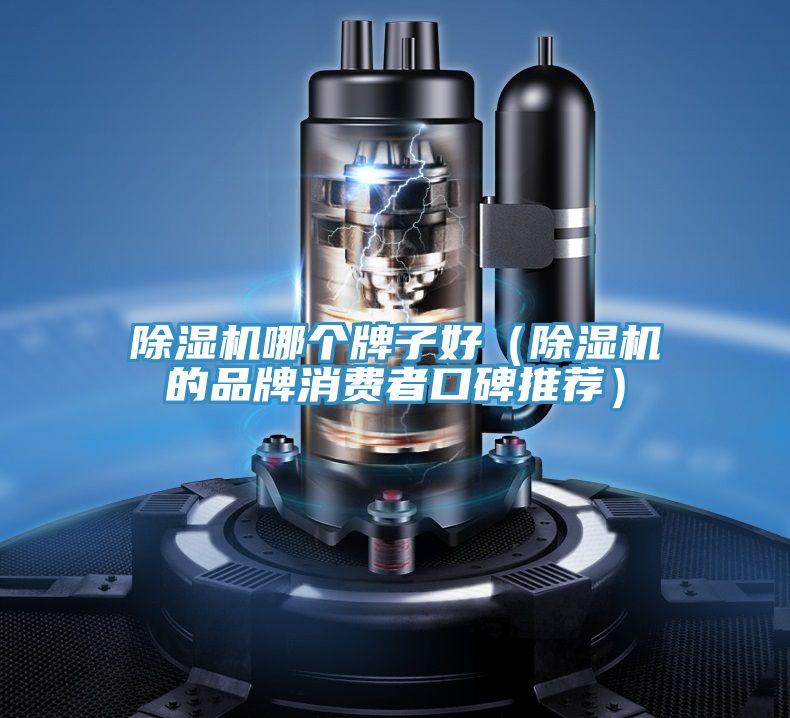 除濕機哪個牌子好(除濕機的品牌消費者口碑推薦)