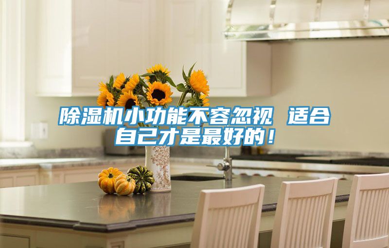 除濕機小功能不容忽視 適合自己才是最好的！