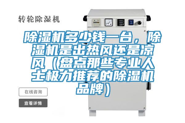 除濕機(jī)多少錢一臺(tái)，除濕機(jī)是出熱風(fēng)還是涼風(fēng)（盤點(diǎn)那些專業(yè)人士極力推薦的除濕機(jī)品牌）