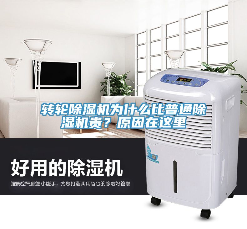 轉輪除濕機為什么比普通除濕機貴?原因在這里