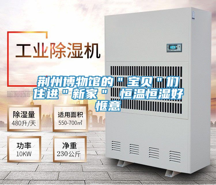 荊州博物館的"寶貝"們住進"新家" 恒溫恒濕好愜意