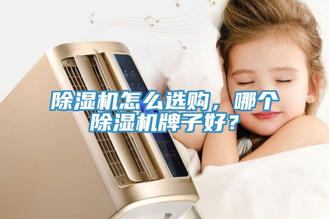 除濕機(jī)怎么選購,哪個(gè)除濕機(jī)牌子好?