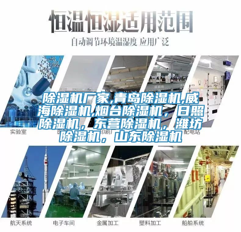 除濕機(jī)廠家,青島除濕機(jī),威海除濕機(jī),煙臺(tái)除濕機(jī),日照除濕機(jī),東營除濕機(jī),濰坊除濕機(jī),山東除濕機(jī)