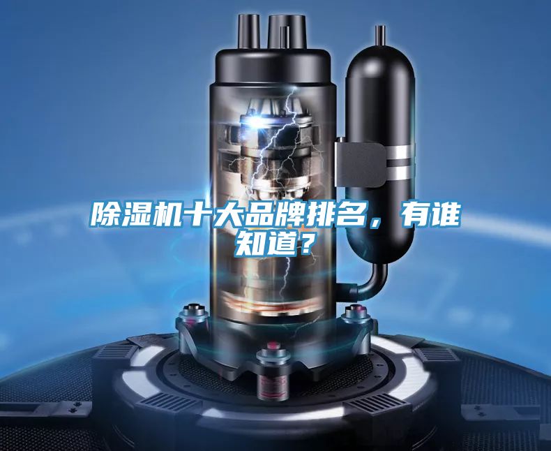 除濕機十大品牌排名,有誰知道?