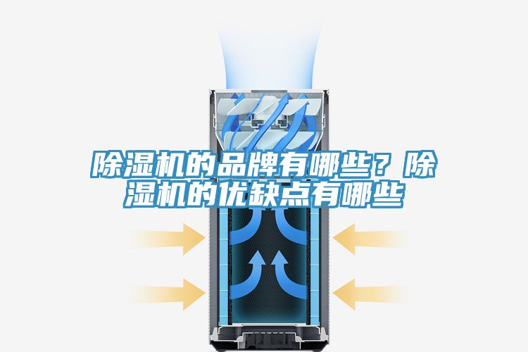 除濕機(jī)的品牌有哪些？除濕機(jī)的優(yōu)缺點(diǎn)有哪些