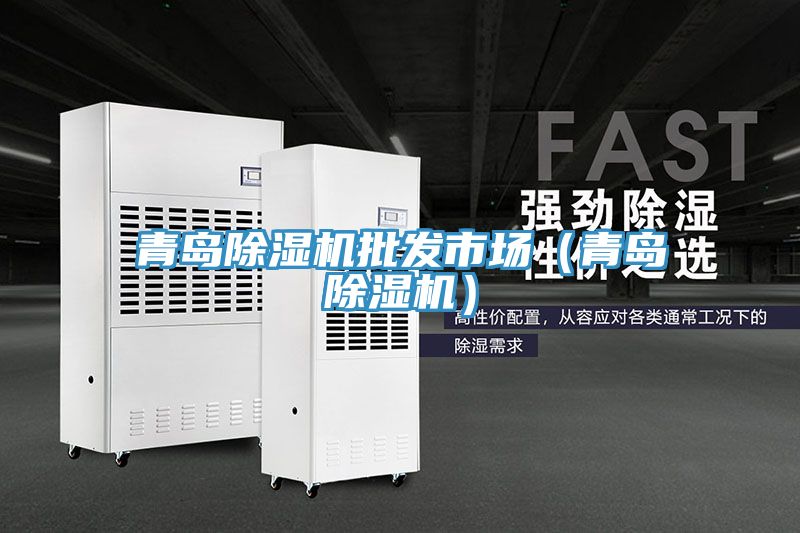 青島除濕機批發市場（青島除濕機）