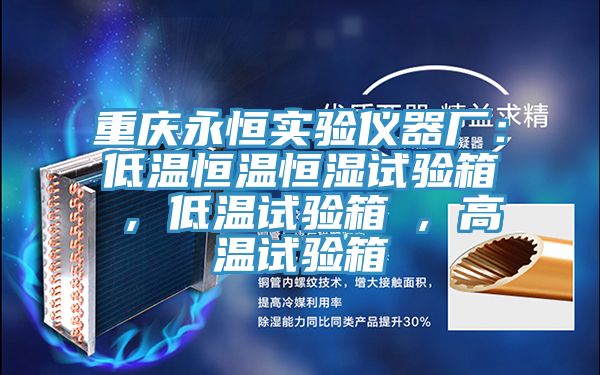 重慶永恒實驗儀器廠:低溫恒溫恒濕試驗箱 , 低溫試驗箱 , 高溫試驗箱