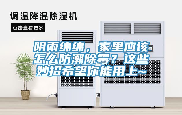 陰雨綿綿,家里應該怎么防潮除霉?這些妙招希望你能用上~