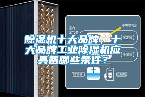 除濕機(jī)十大品牌，十大品牌工業(yè)除濕機(jī)應(yīng)具備哪些條件？